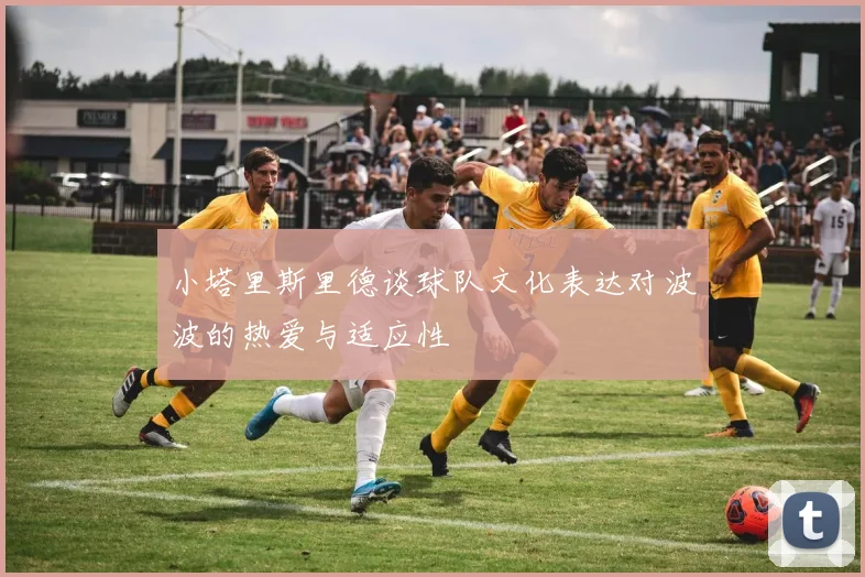 小塔里斯里德谈球队文化表达对波波的热爱与适应性