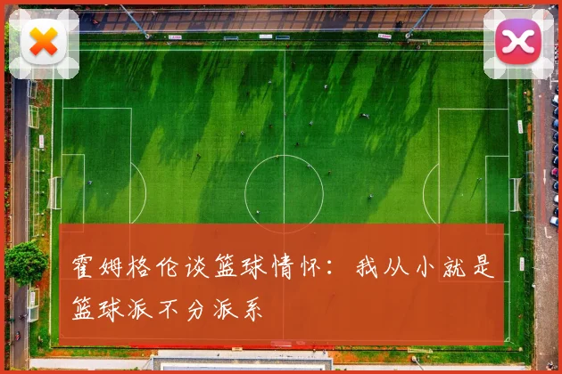 霍姆格伦谈篮球情怀：我从小就是篮球派不分派系