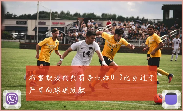 布雷默谈判判罚争议称0-3比分过于严苛向球迷致歉