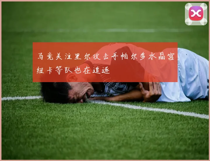 马竞关注里尔攻击手帕尔多水晶宫纽卡等队也在追逐